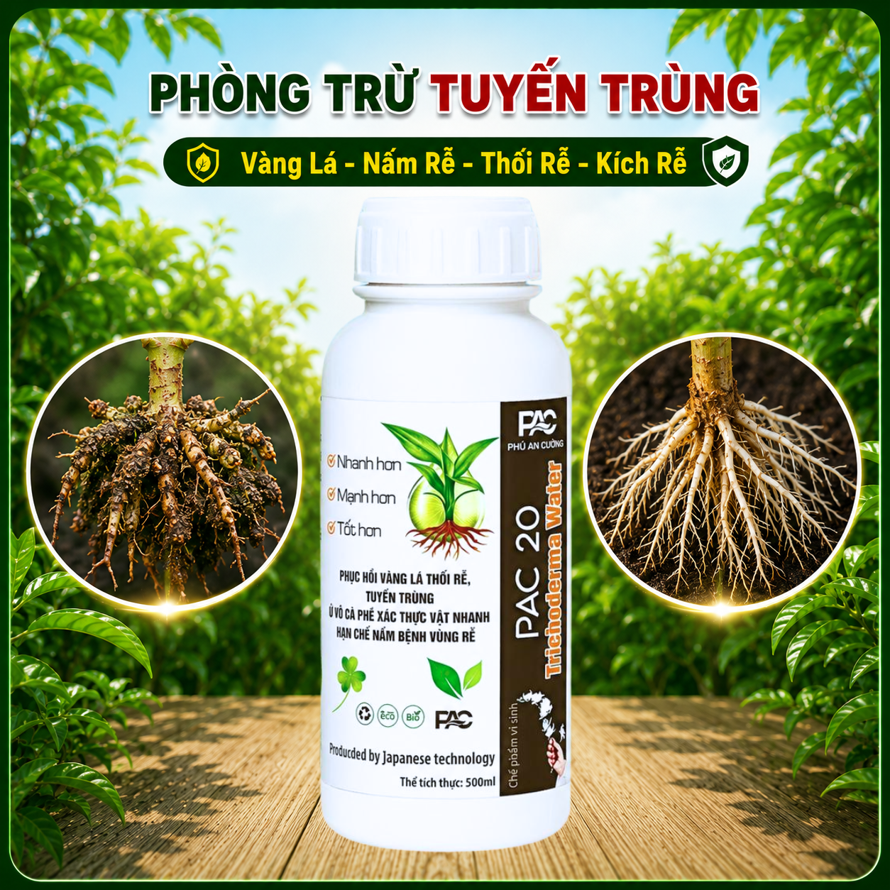 Thiết kế chưa có tên (32)
